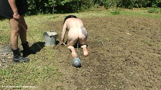 Alfresco Portray & Corrigendum Pt1 - TacAmateurs